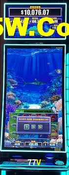 Roulette Table 77V